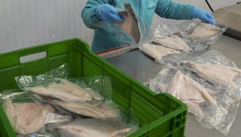 turkiyenin su urunleri ve hayvansal mamulleri ihracati 4 milyar dolari asti 1pt7uG4c