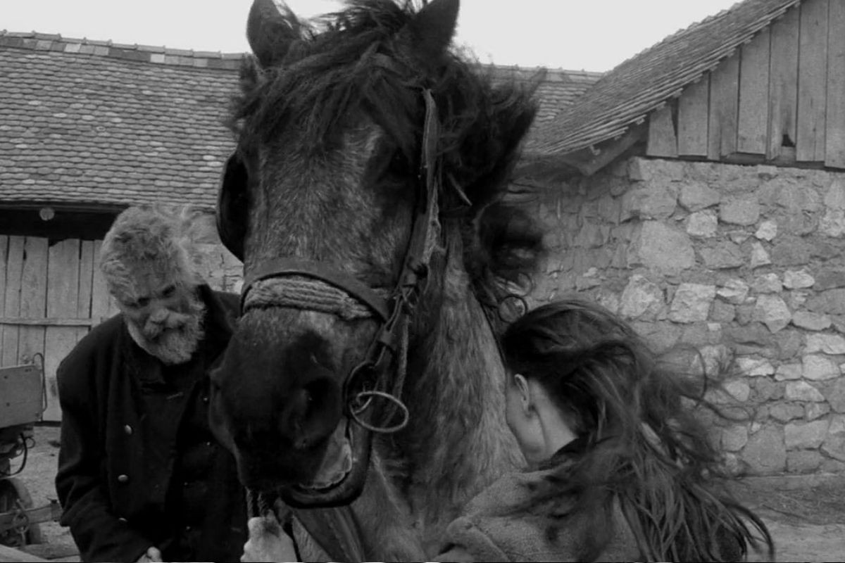 yavas sinema akiminin onemli temsilcilerinden macar yonetmen bela tarr yasamini yitirdi 0 z18GcIy1