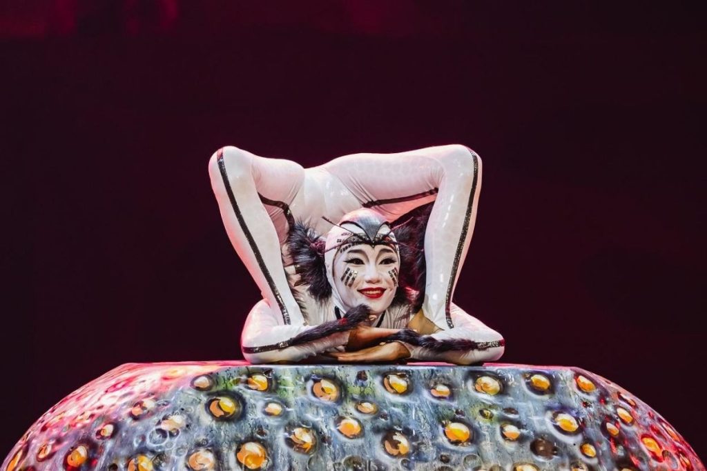 cirque du soleilin dev gosterisi ovo 10 yil sonra istanbulda sahneye cikiyor vzyXIWkY