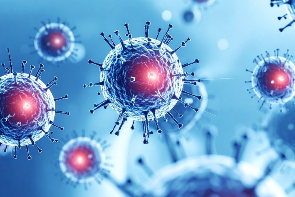 hindistandaki nipah vakalari sonrasi saglik taramalari artirildi 2K97NbCT